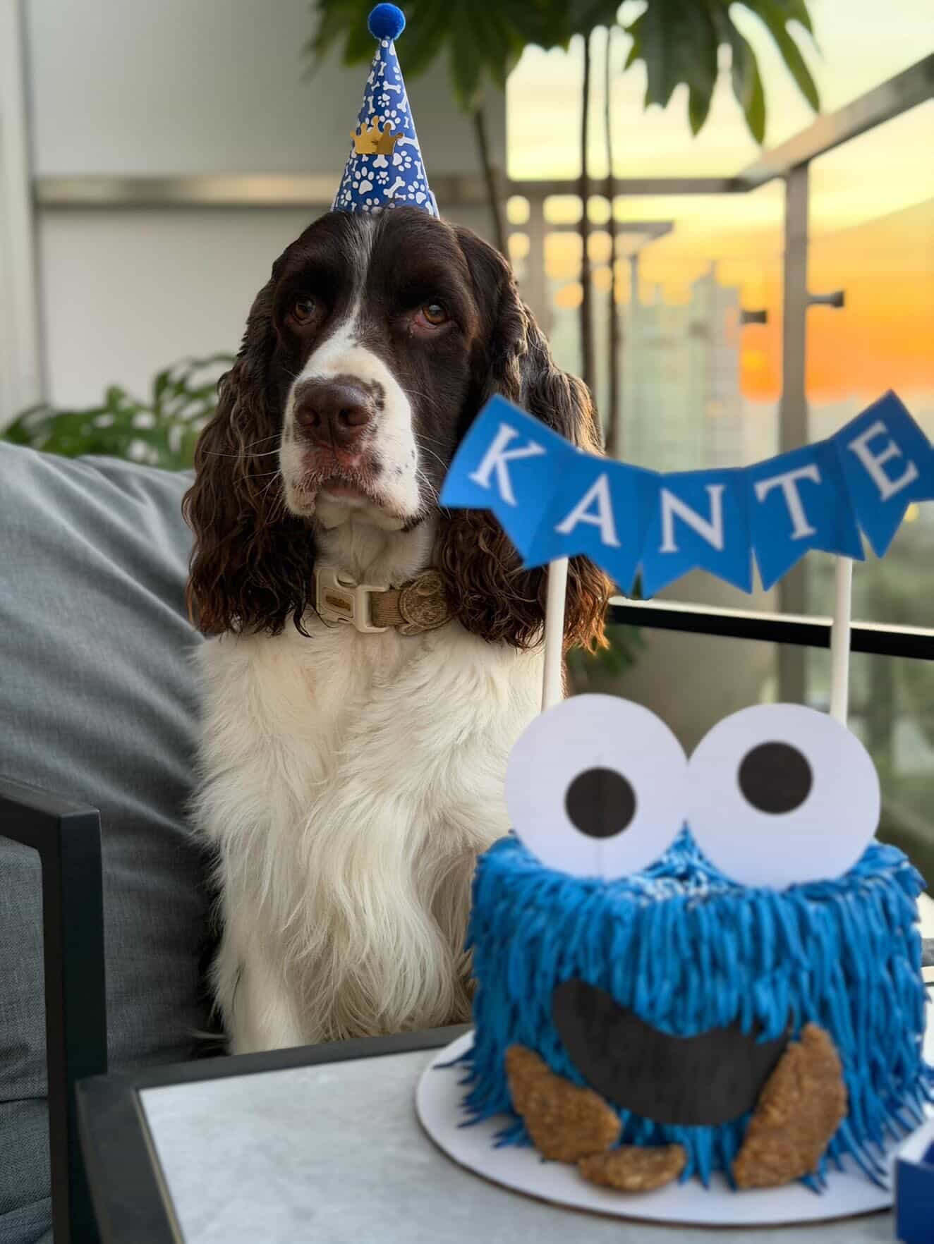 Kante con su torta Cookie Monster personalizada