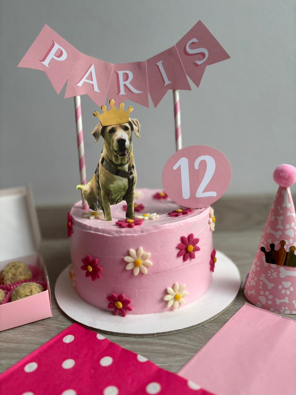 Receta de torta para perro casera: pasos, ingredientes y cuándo conviene pedirla