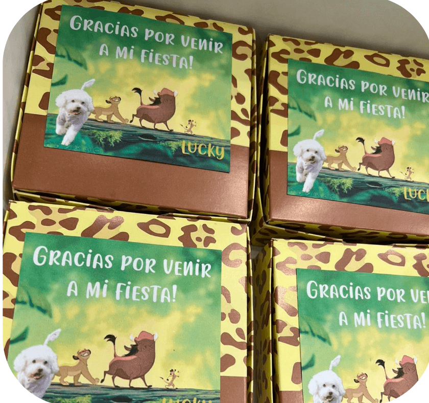 Cajitas de Torta ×6